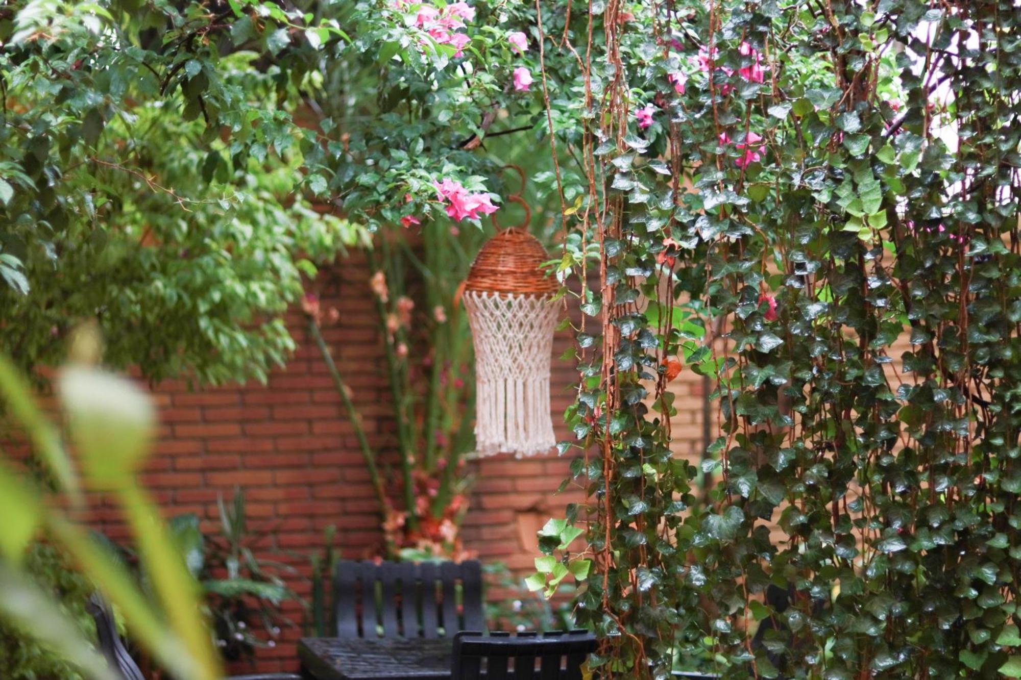 Casa Guanab Guest House Oaxaca Екстер'єр фото