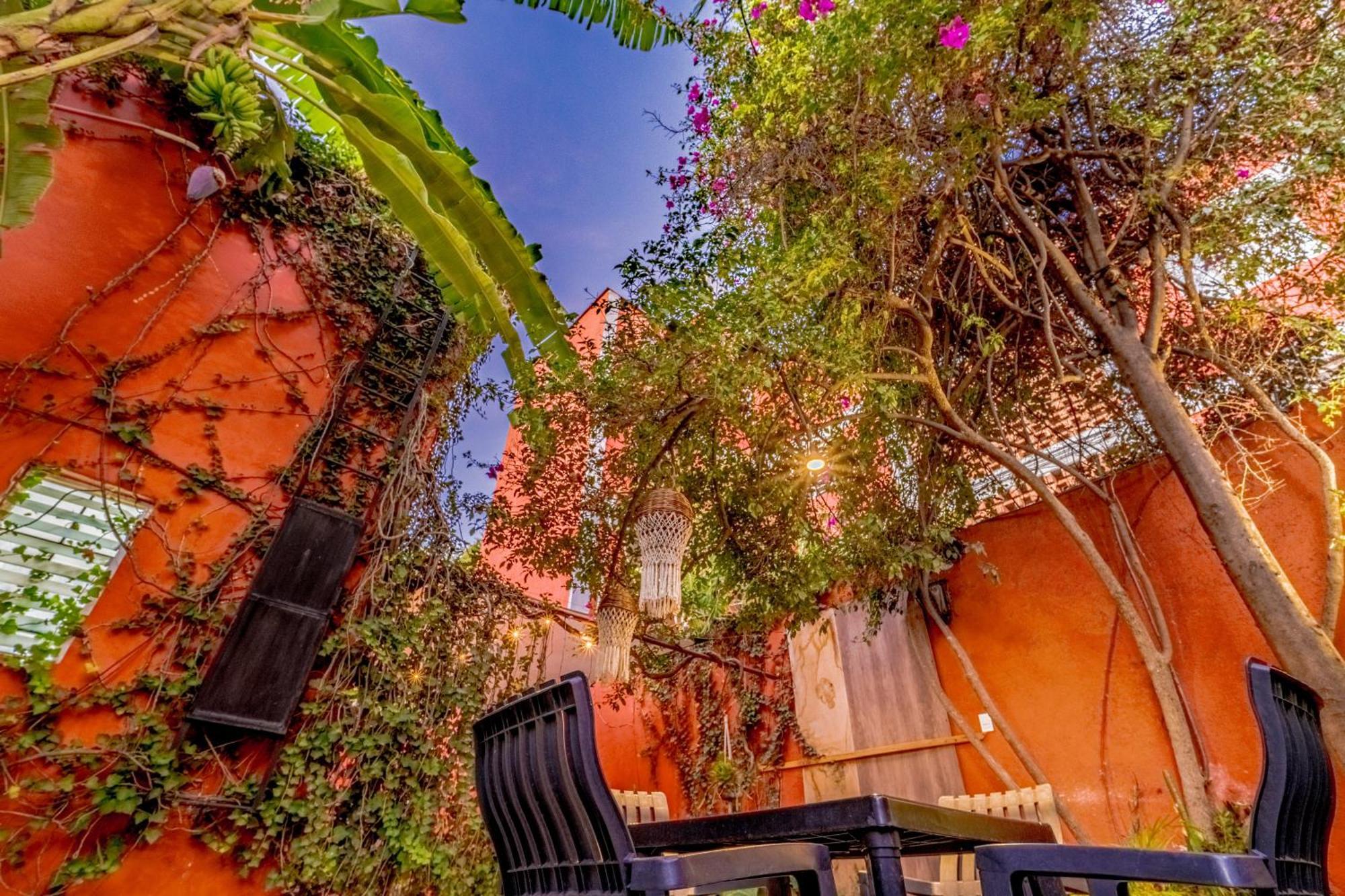 Casa Guanab Guest House Oaxaca Екстер'єр фото